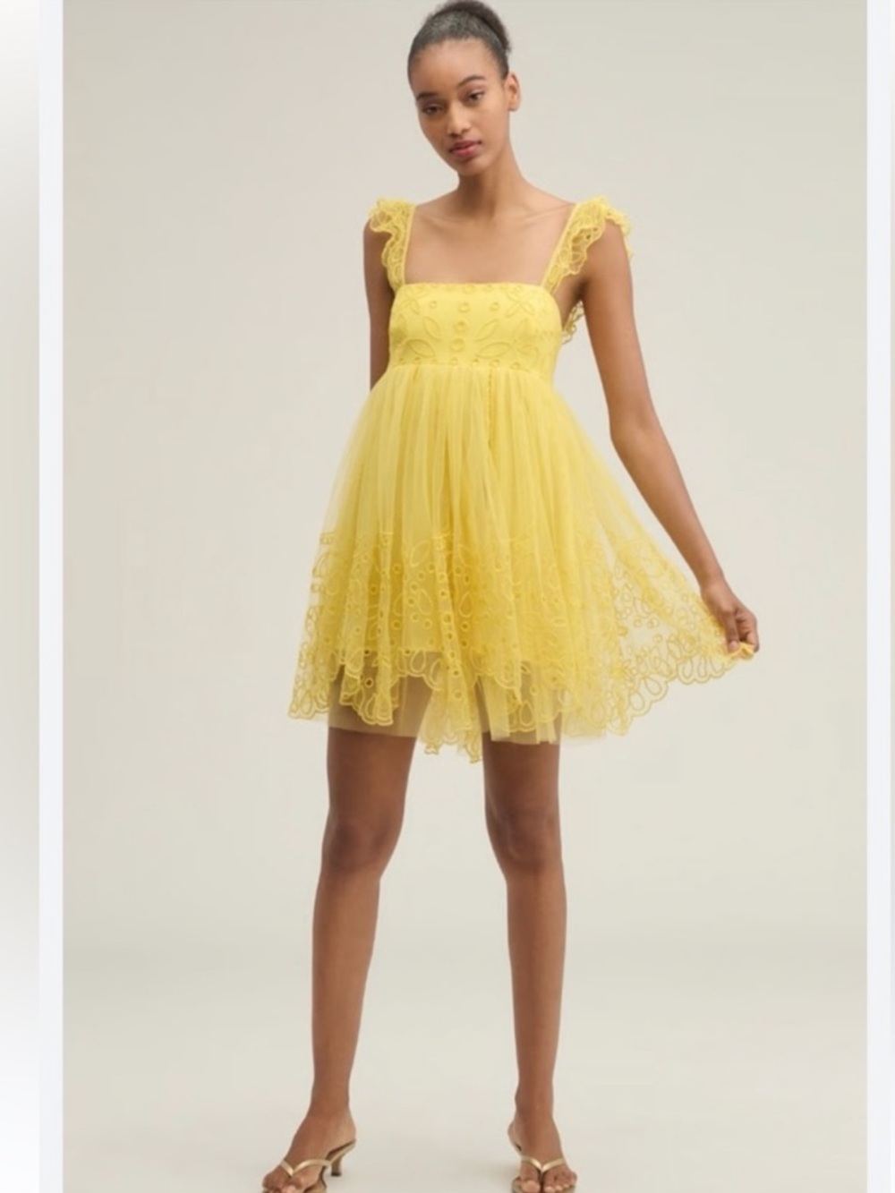 Nwt lace tulle mini dress